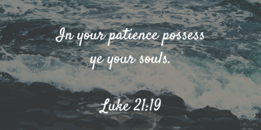 in your patience possess ye your souls