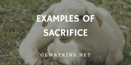sermon on sacrifice - examples of sacrifice in the bible
