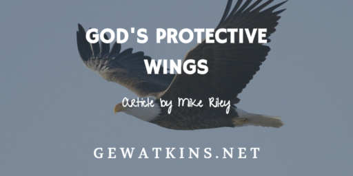 God's Protective Wings
